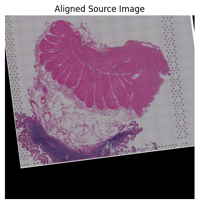 ../_images/notebooks_Loki_Align_case_study_8_small_intestine_77_0.png