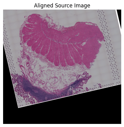 ../_images/notebooks_Loki_Align_case_study_8_small_intestine_83_0.png