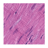 ../_images/notebooks_Loki_Annotate_case_study_marker_genes_8_11.png