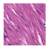 ../_images/notebooks_Loki_Annotate_case_study_marker_genes_8_17.png