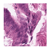 ../_images/notebooks_Loki_Annotate_case_study_marker_genes_8_31.png