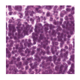 ../_images/notebooks_Loki_Annotate_case_study_marker_genes_8_45.png