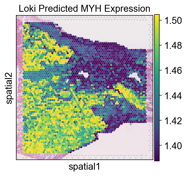 ../_images/notebooks_Loki_PredEx_case_study_10_0.png