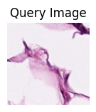 ../_images/notebooks_Loki_Retrieve_7_0.png